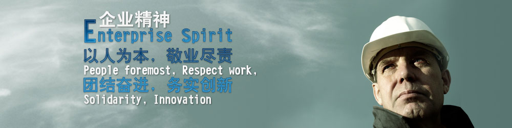 Ȼϩ|CPEԼ|Ӽ|»׽|chlorinated polyethylene|impact modifier -Ϋ꺣ܽƼ޹˾
